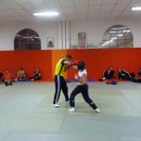 boxe 2013 2014 e
